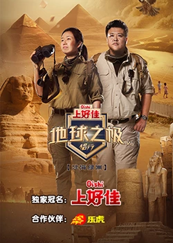 整站seo优化要多少钱